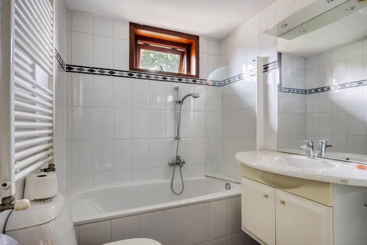 Badkamer met ligbad, douche, wastafel en toilet